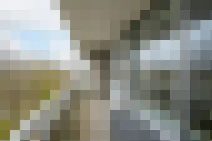 Mozartlaan 48 Breda thumbnail 34
