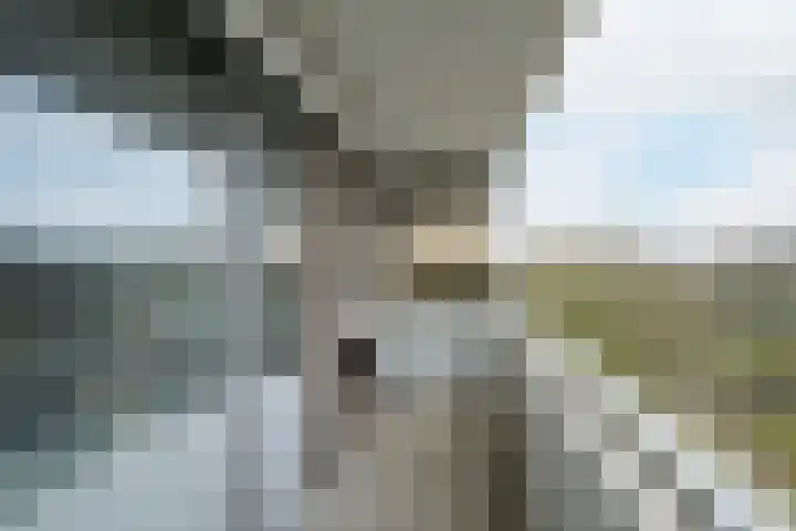 Mozartlaan 48 Breda thumbnail 43