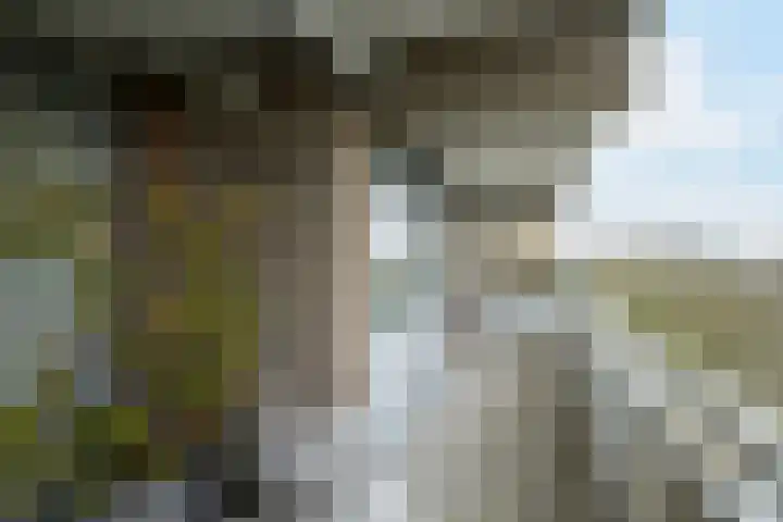 Mozartlaan 48 Breda thumbnail 46