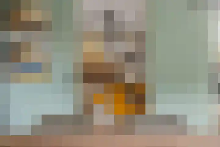 Mozartlaan 48 Drunen thumbnail 15