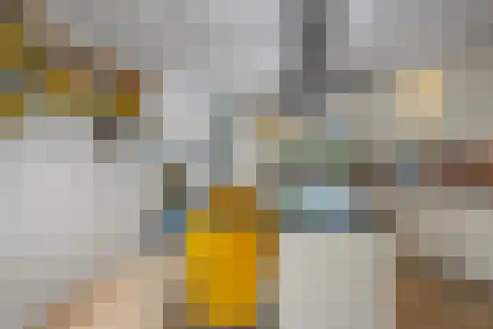 Mozartlaan 48 Drunen thumbnail 17