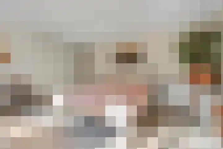 Mozartlaan 48 Drunen thumbnail 23