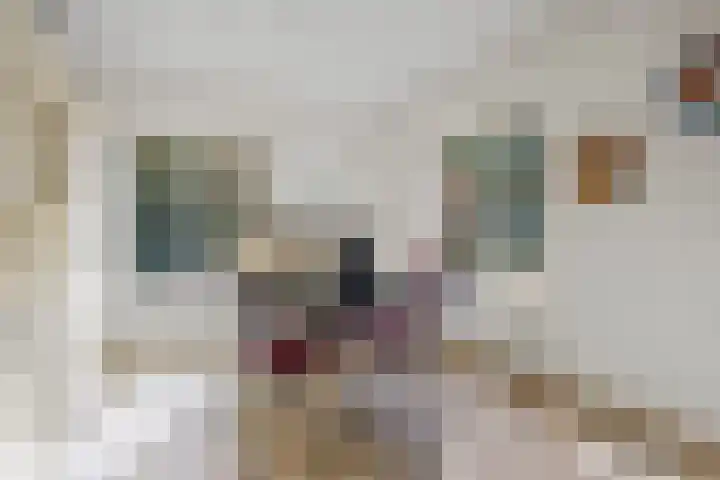 Mozartlaan 48 Drunen thumbnail 29