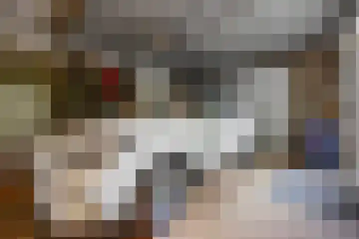 Mozartlaan 48 Drunen thumbnail 33