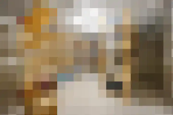 Mozartlaan 48 Drunen thumbnail 35
