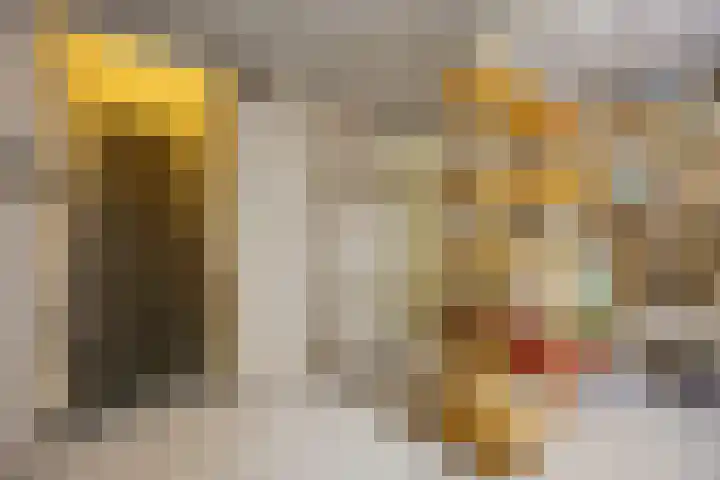 Mozartlaan 48 Drunen thumbnail 36