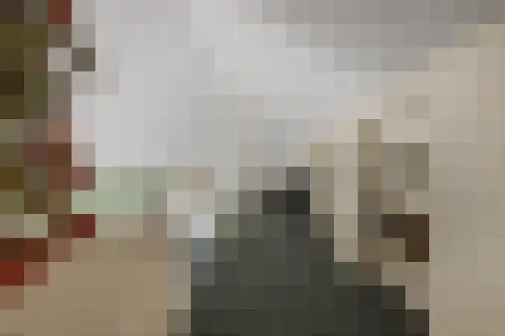 Mozartlaan 48 Drunen thumbnail 39