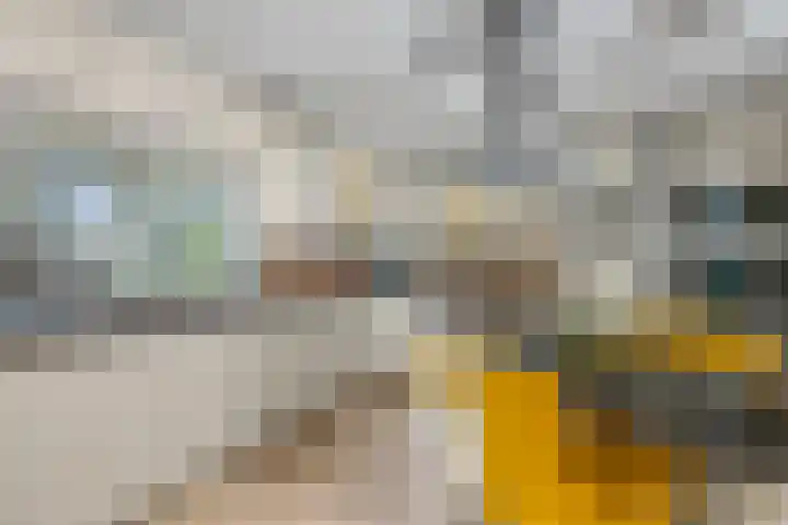 Mozartlaan 48 Drunen thumbnail 4