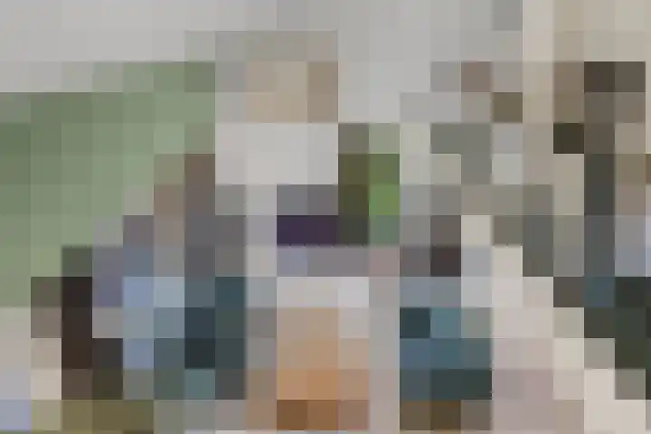 Mozartlaan 48 Drunen thumbnail 41