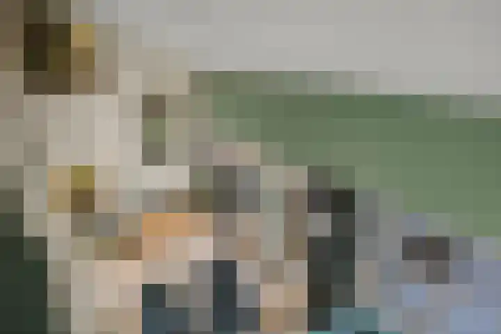 Mozartlaan 48 Drunen thumbnail 42