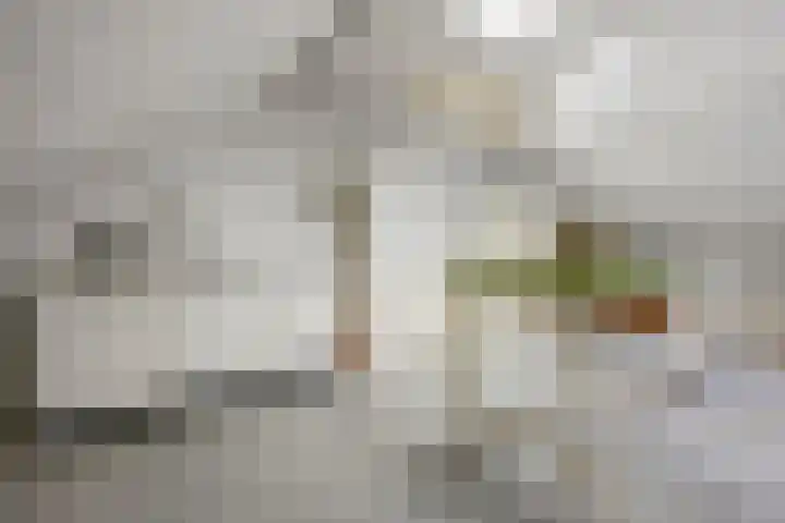 Mozartlaan 48 Drunen thumbnail 50