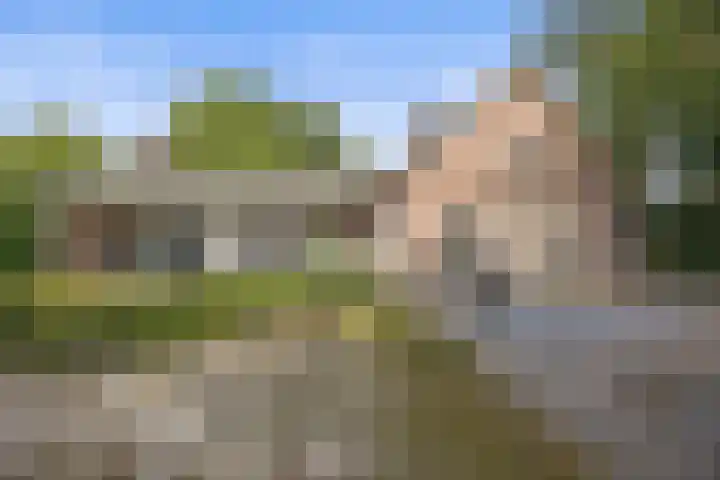 Mozartlaan 48 Drunen thumbnail 58