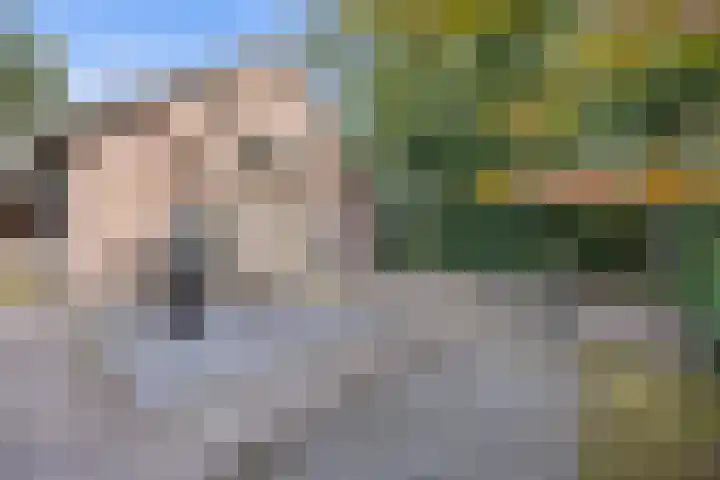 Mozartlaan 48 Drunen thumbnail 59