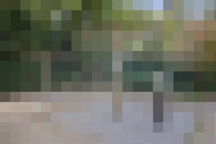 Mozartlaan 48 Drunen thumbnail 61