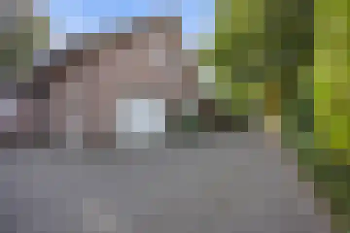 Mozartlaan 48 Drunen thumbnail 64