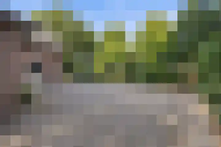 Mozartlaan 48 Drunen thumbnail 66
