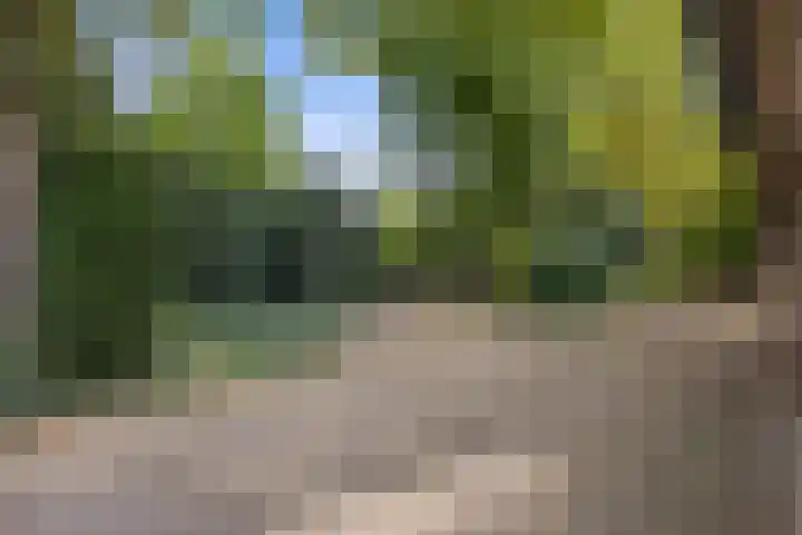 Mozartlaan 48 Drunen thumbnail 67
