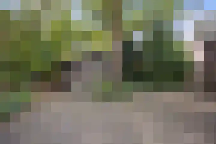 Mozartlaan 48 Drunen thumbnail 70