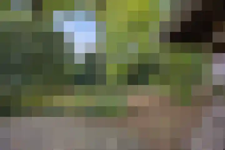 Mozartlaan 48 Drunen thumbnail 71