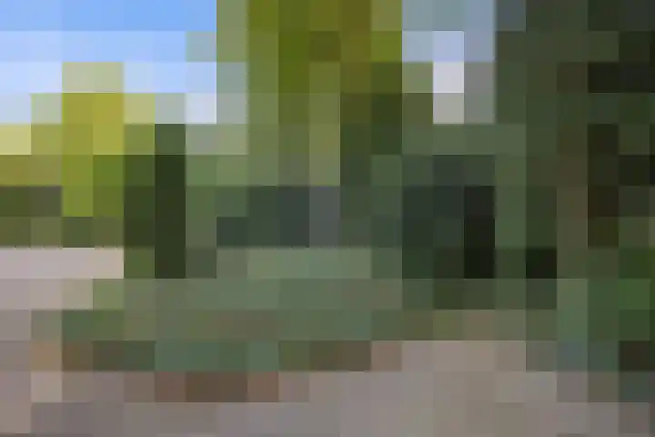 Mozartlaan 48 Drunen thumbnail 72