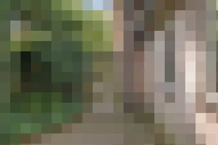 Mozartlaan 48 Drunen thumbnail 73