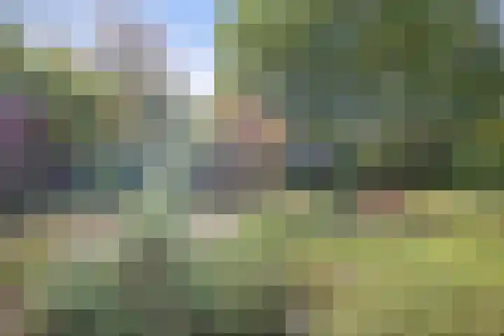 Mozartlaan 48 Drunen thumbnail 74