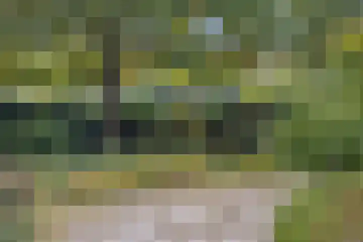 Mozartlaan 48 Drunen thumbnail 76