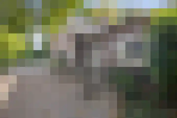 Mozartlaan 48 Drunen thumbnail 77