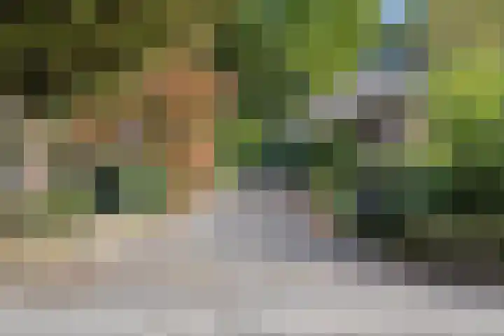 Mozartlaan 48 Drunen thumbnail 78