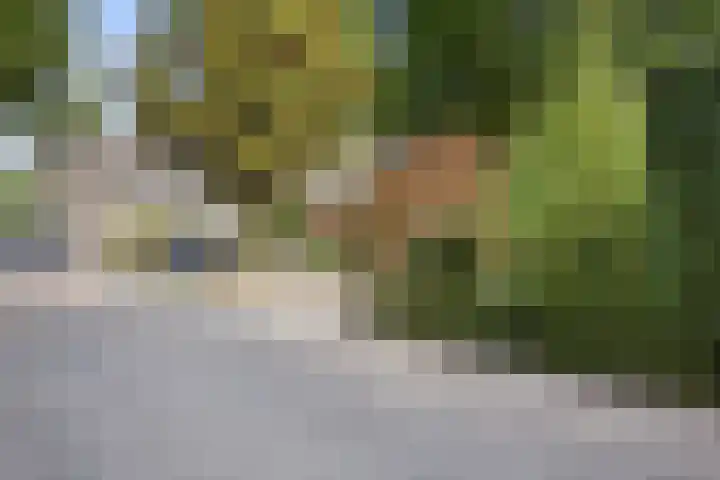 Mozartlaan 48 Drunen thumbnail 79