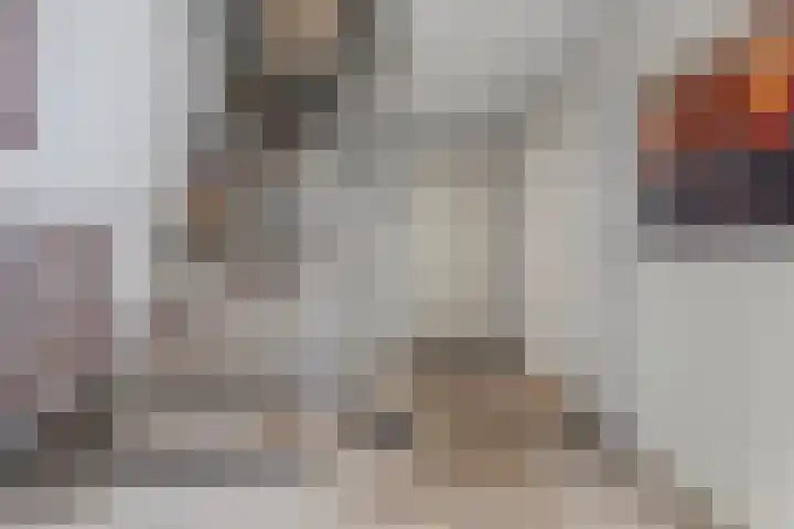 Mozartlaan 48 Drunen thumbnail 8
