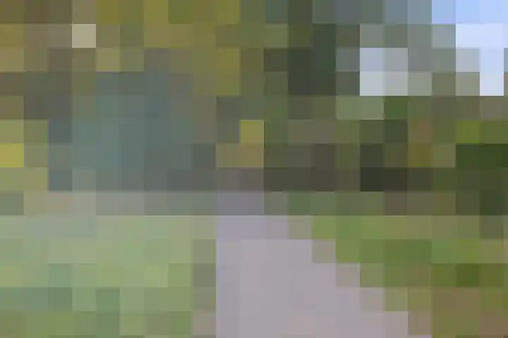 Mozartlaan 48 Drunen thumbnail 80