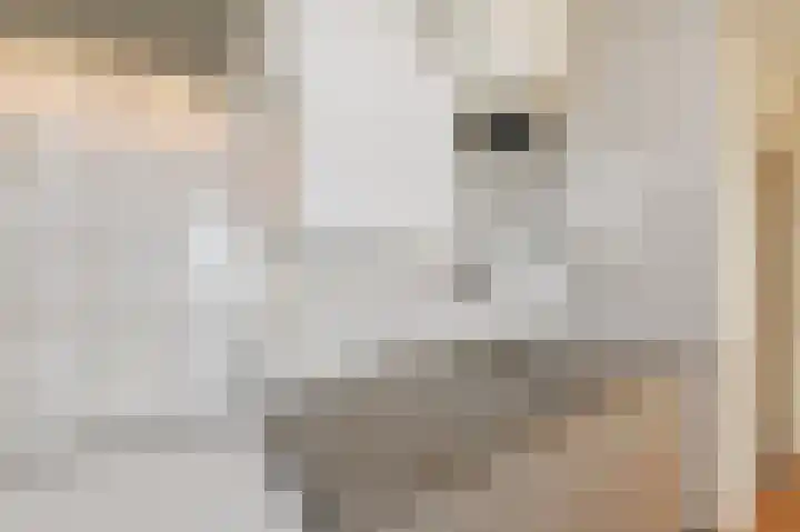 Mozartlaan 504 Den Haag thumbnail 7