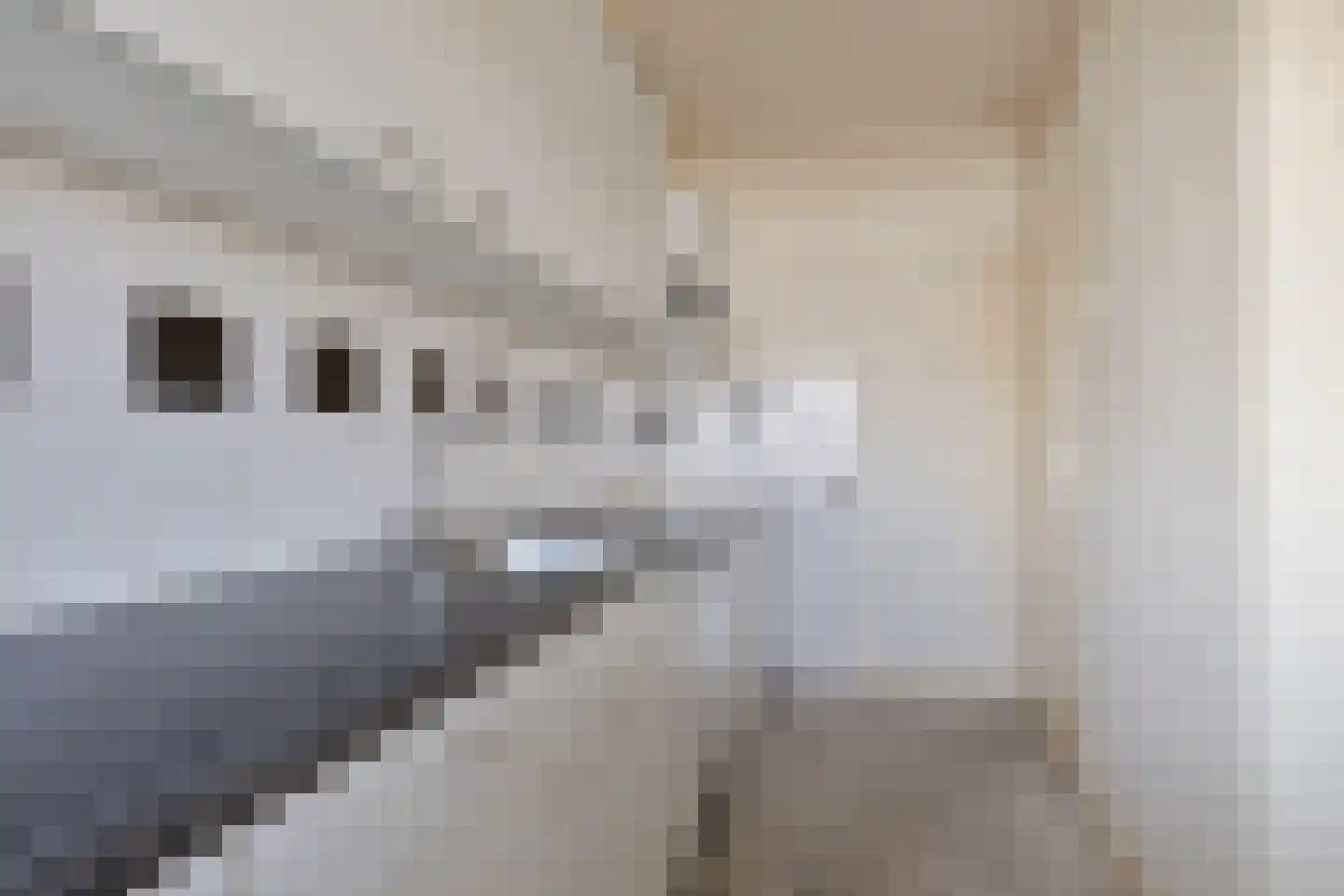 Mozartlaan 505 Tilburg thumbnail 24