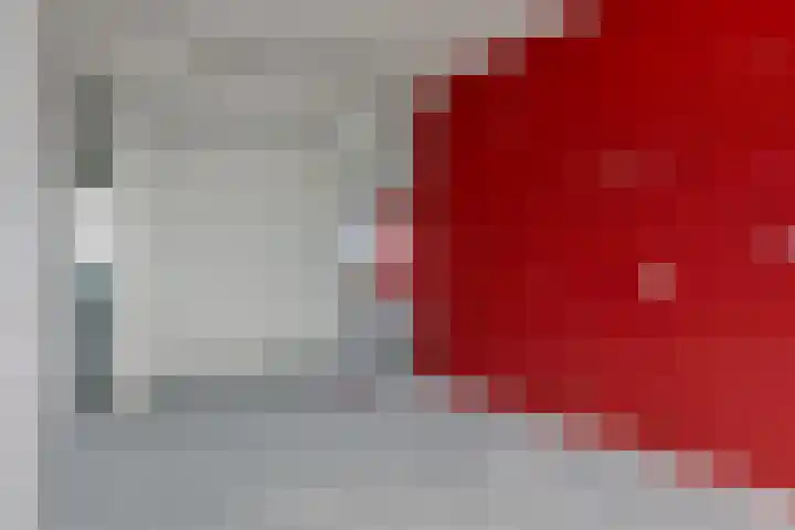 Mozartlaan 507 Tilburg thumbnail 14