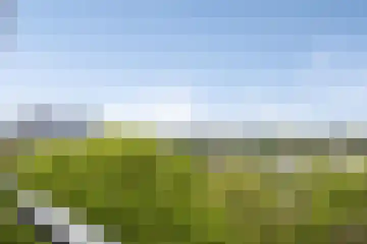 Mozartlaan 507 Tilburg thumbnail 34