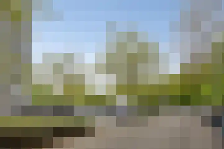 Mozartlaan 507 Tilburg thumbnail 5
