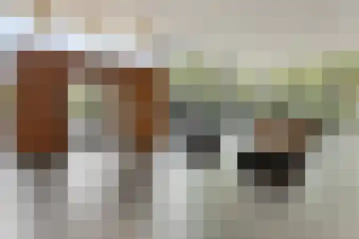 Mozartlaan 507 Tilburg thumbnail 7