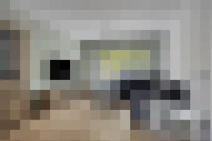 Mozartlaan 51 Heesch thumbnail 11
