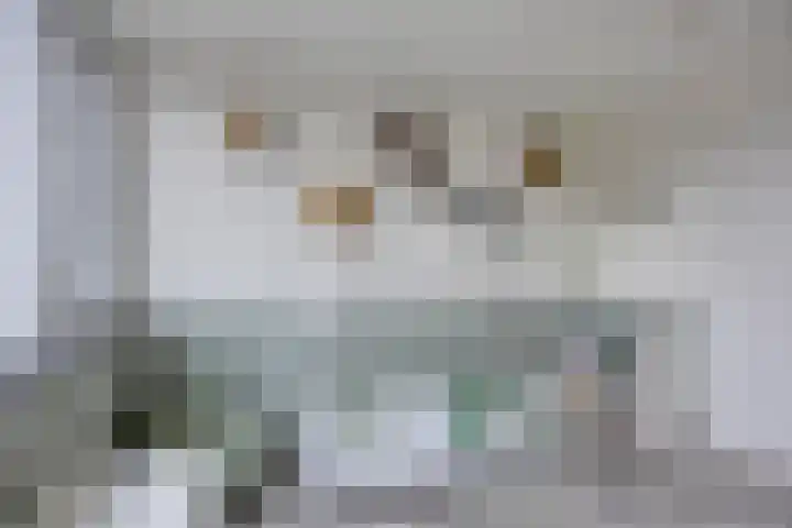 Mozartlaan 51 Heesch thumbnail 31