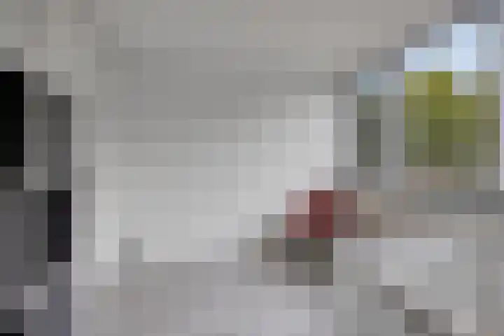 Mozartlaan 51 Heesch thumbnail 33
