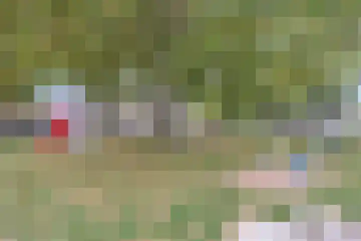 Mozartlaan 51 Heesch thumbnail 39
