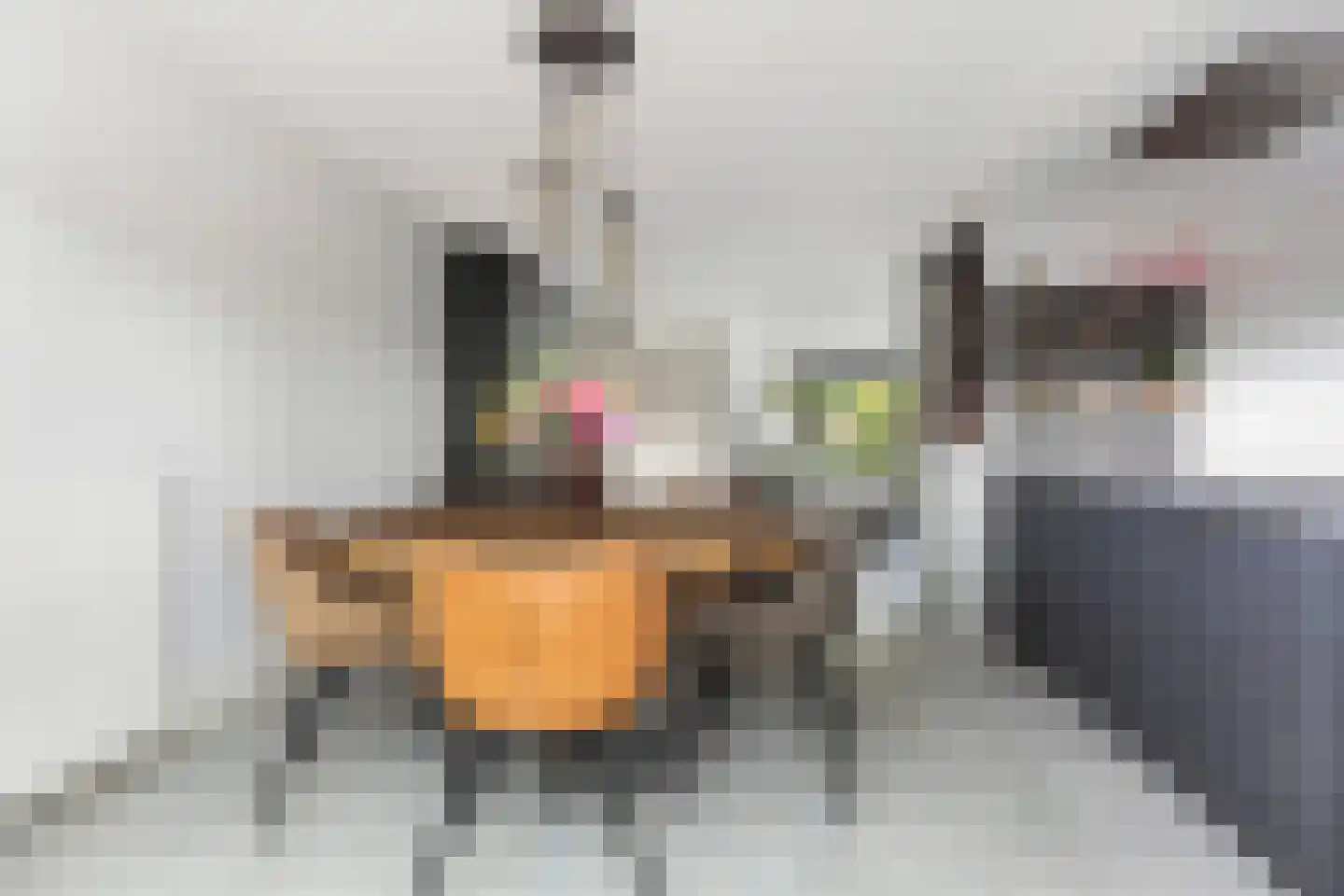 Mozartlaan 51 Nunspeet thumbnail 12