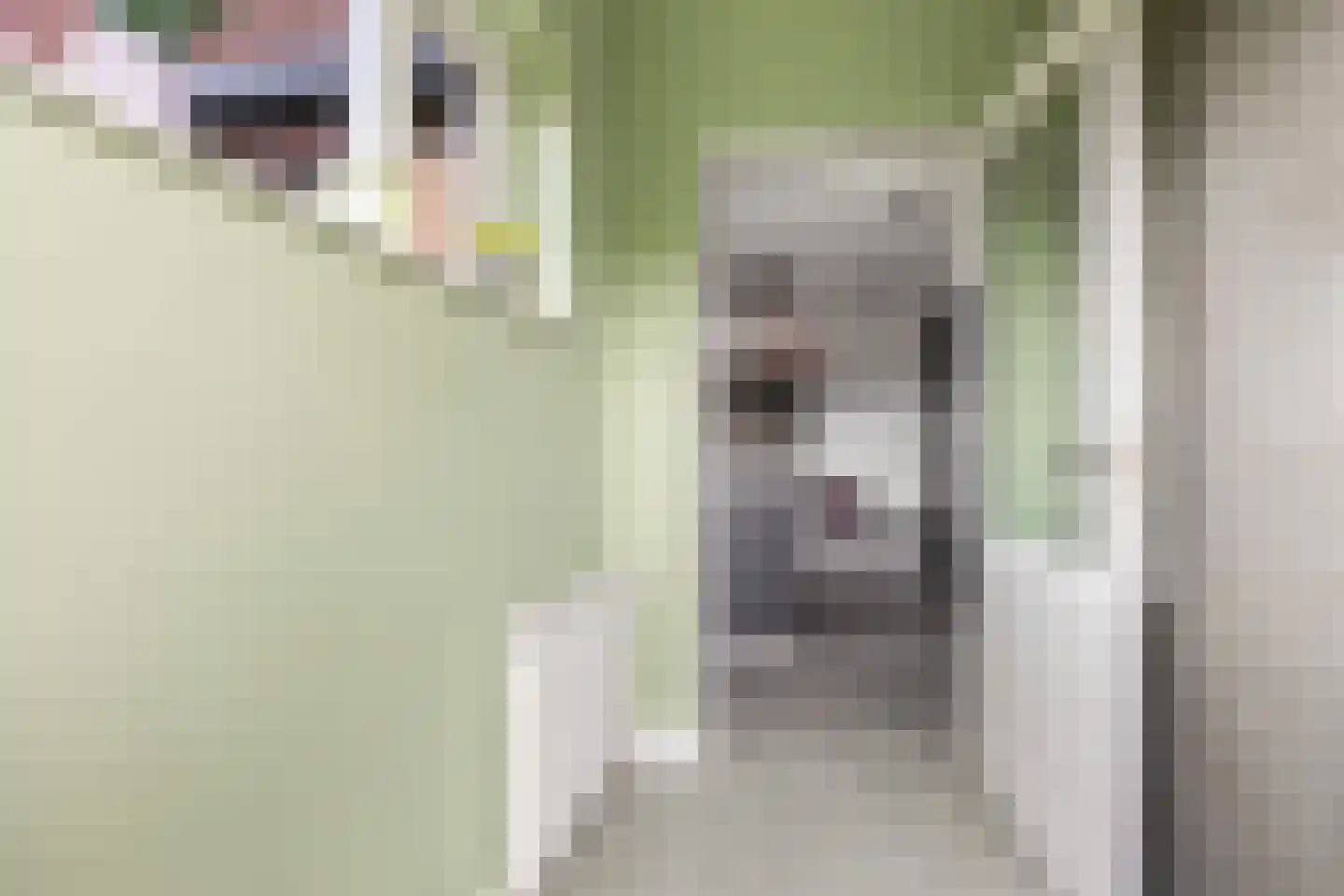 Mozartlaan 51 Nunspeet thumbnail 19