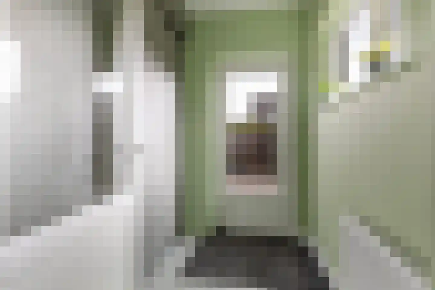 Mozartlaan 51 Nunspeet thumbnail 20