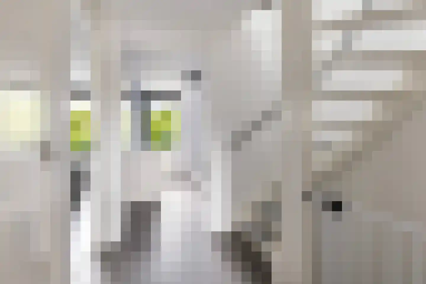 Mozartlaan 51 Nunspeet thumbnail 22