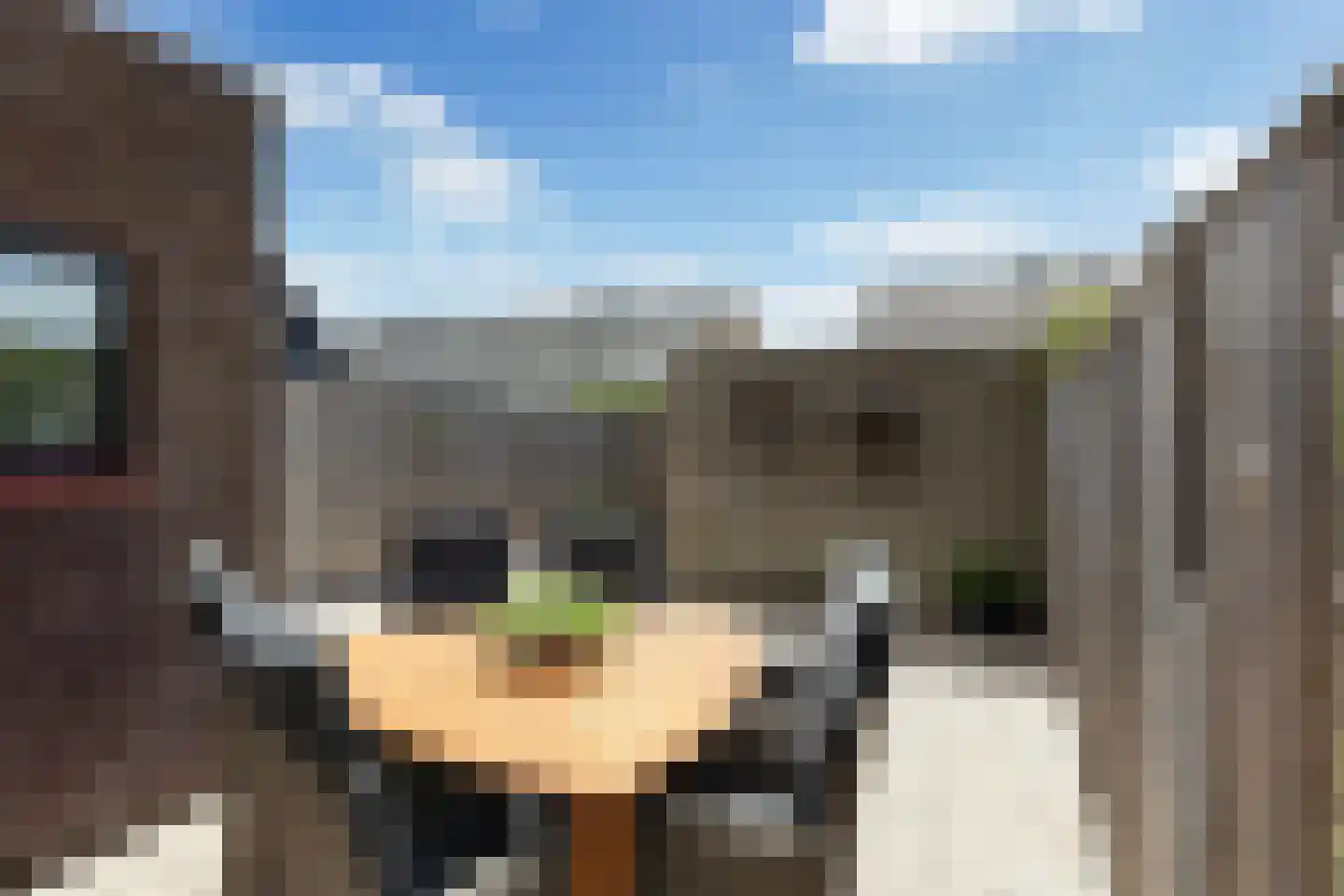 Mozartlaan 51 Nunspeet thumbnail 37