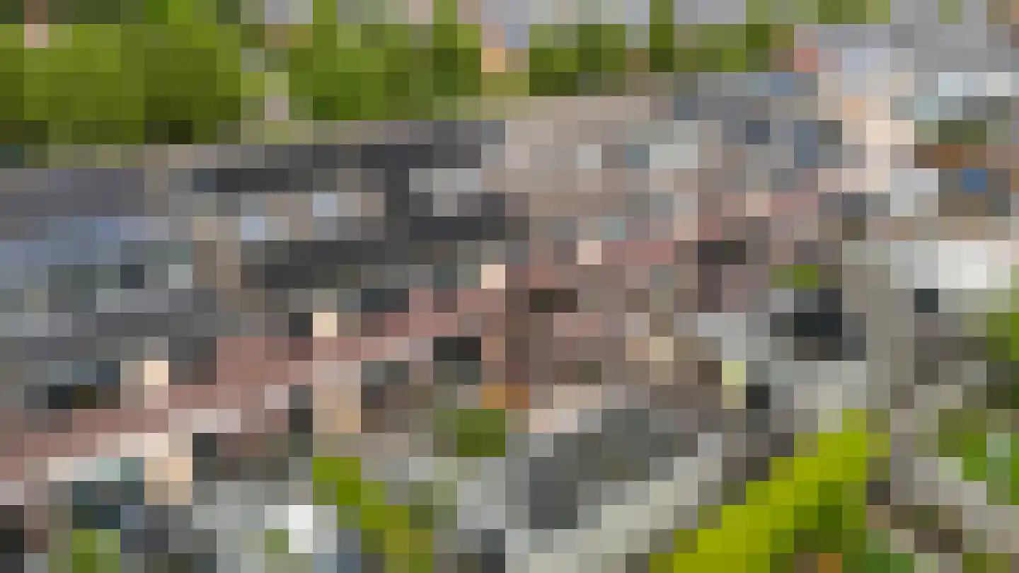 Mozartlaan 51 Nunspeet thumbnail 42