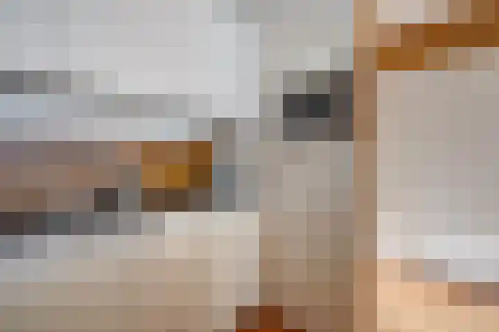 Mozartlaan 518 Den Haag thumbnail 16