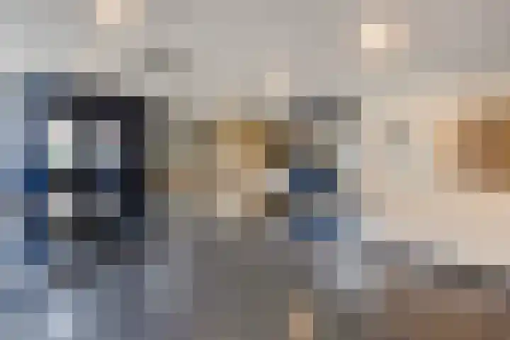 Mozartlaan 518 Den Haag thumbnail 31